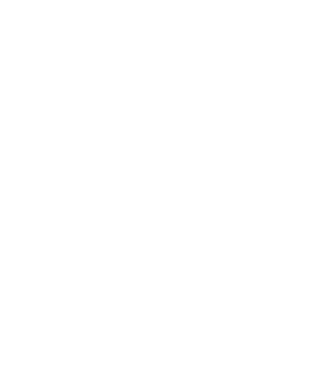 NORINA logo
